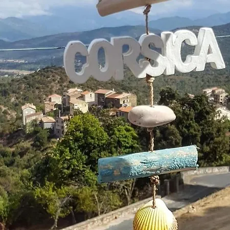 De Superbe Vue Piscine Privee Hébergement de vacances Moltifao