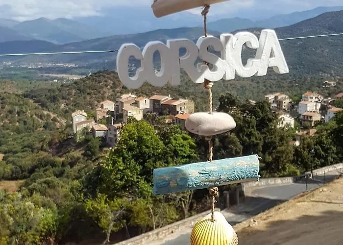 De Superbe Vue Piscine Privee Hébergement de vacances Moltifao